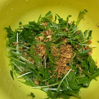 水菜と春菊のオリーブオイルサラダ